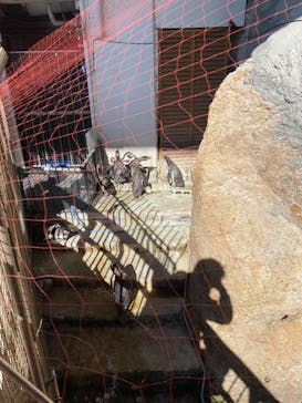 伊豆・三津シーパラダイスに投稿された画像（2022/2/27）