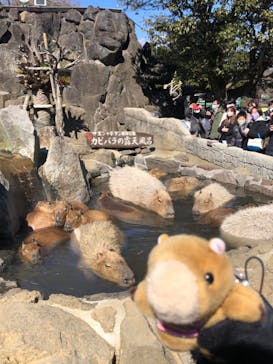 伊豆シャボテン動物公園に投稿された画像（2022/2/27）