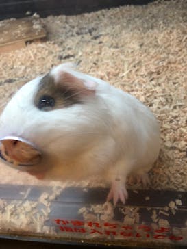 伊豆シャボテン動物公園に投稿された画像（2022/2/27）