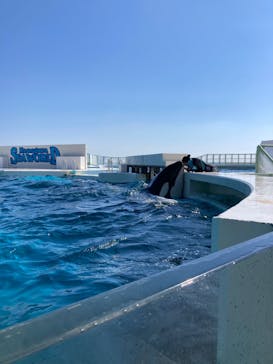 鴨川シーワールドに投稿された画像（2022/2/27）