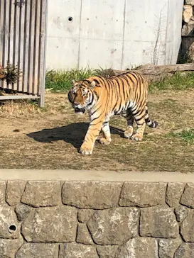 天王寺動物園に投稿された画像（2022/2/27）