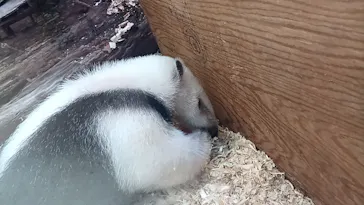 神戸どうぶつ王国に投稿された画像（2022/2/27）