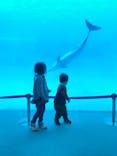 名古屋港水族館に投稿された画像（2022/2/27）
