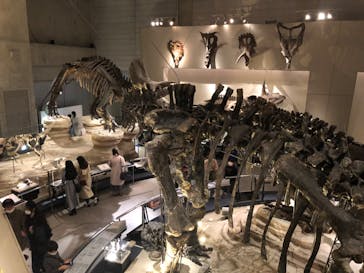 国立科学博物館に投稿された画像（2022/2/27）