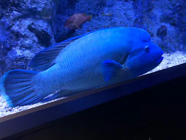 すみだ水族館に投稿された画像（2022/2/27）