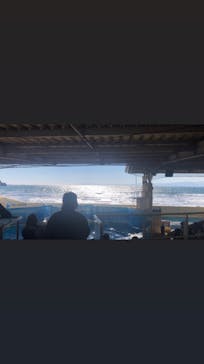 新江ノ島水族館に投稿された画像（2022/2/27）