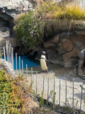サンシャイン水族館に投稿された画像（2022/2/27）