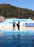 下田海中水族館に投稿された画像（2022/2/27）