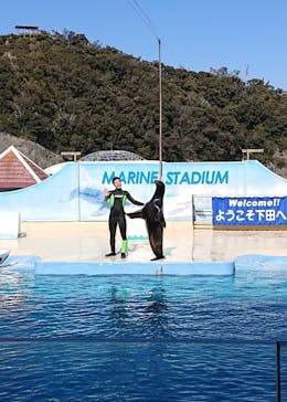 下田海中水族館に投稿された画像（2022/2/27）