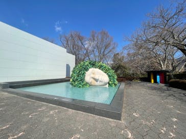 彫刻の森美術館に投稿された画像（2022/2/27）