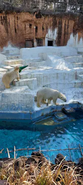 天王寺動物園に投稿された画像（2022/2/27）