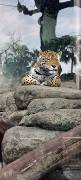 天王寺動物園に投稿された画像（2022/2/27）