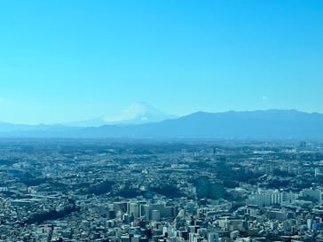 横浜ランドマークタワー 69階展望フロア スカイガーデンに投稿された画像（2022/2/27）
