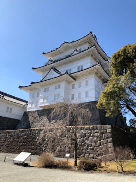 小田原城に投稿された画像（2022/2/27）