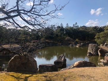 元離宮二条城に投稿された画像（2022/2/27）