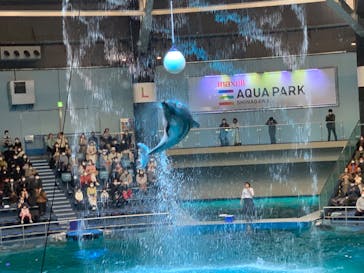 マクセル アクアパーク品川に投稿された画像（2022/2/27）