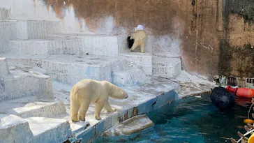 天王寺動物園に投稿された画像（2022/2/27）