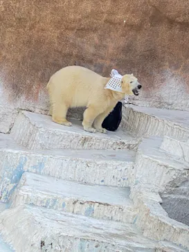 天王寺動物園に投稿された画像（2022/2/27）