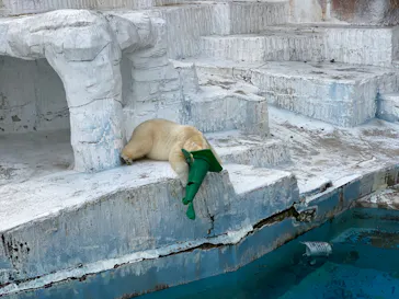 天王寺動物園に投稿された画像（2022/2/27）