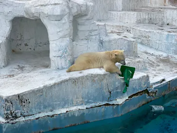 天王寺動物園に投稿された画像（2022/2/27）