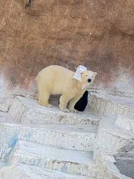天王寺動物園に投稿された画像（2022/2/27）
