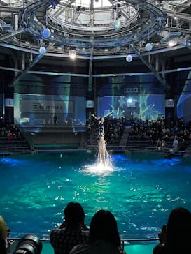 マクセル アクアパーク品川に投稿された画像（2022/2/27）