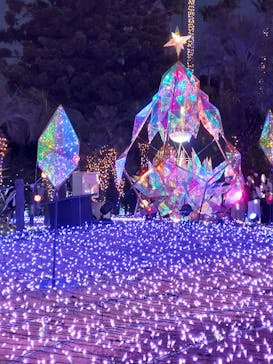 江の島シーキャンドルに投稿された画像（2022/2/27）