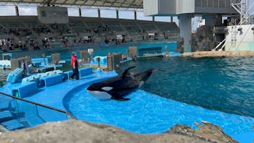 名古屋港水族館に投稿された画像（2022/2/27）