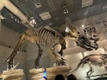 国立科学博物館に投稿された画像（2022/2/27）
