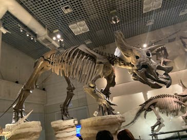 国立科学博物館に投稿された画像（2022/2/27）