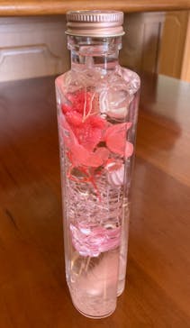 ずこうしつ〜sugamo〜に投稿された画像（2022/2/27）