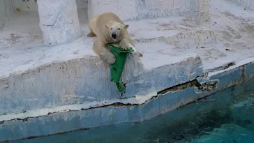 天王寺動物園に投稿された画像（2022/2/27）