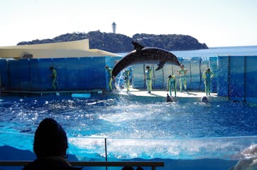 新江ノ島水族館に投稿された画像（2022/2/26）
