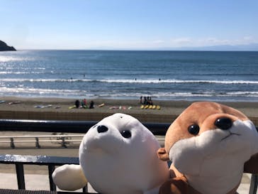 新江ノ島水族館に投稿された画像（2022/2/26）