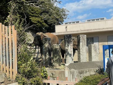 横浜市立金沢動物園に投稿された画像（2022/2/27）