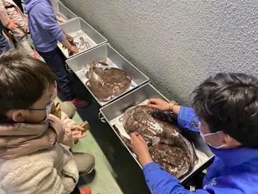 横浜・八景島シーパラダイスに投稿された画像（2022/2/27）