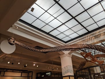 国立科学博物館に投稿された画像（2022/2/27）