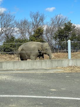 群馬サファリパークに投稿された画像（2022/2/27）