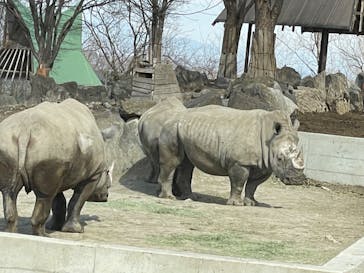 群馬サファリパークに投稿された画像（2022/2/27）