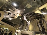 国立科学博物館に投稿された画像（2022/2/27）