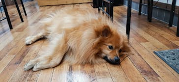 Countless River（カウントレスリバー）に投稿された画像（2022/2/27）