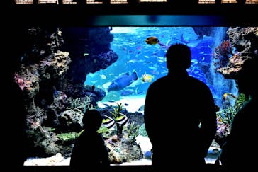 サンシャイン水族館に投稿された画像（2022/2/27）