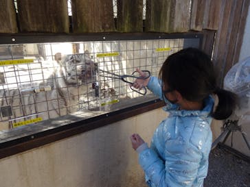 群馬サファリパークに投稿された画像（2022/2/27）