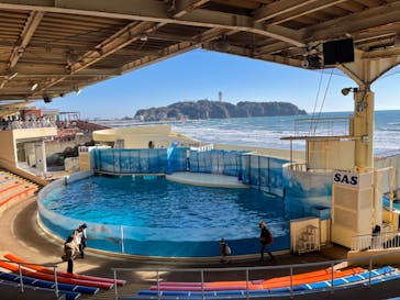 新江ノ島水族館に投稿された画像（2022/2/27）