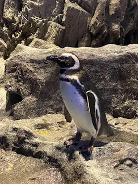 すみだ水族館に投稿された画像（2022/2/27）