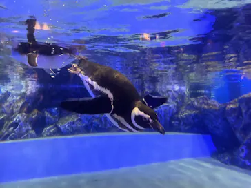 すみだ水族館に投稿された画像（2022/2/27）