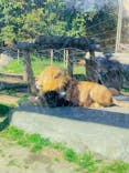 東武動物公園に投稿された画像（2022/2/28）