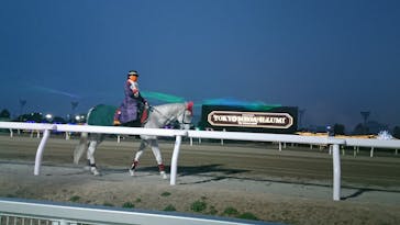 東京メガイルミに投稿された画像（2022/2/27）