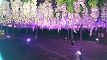 東京メガイルミに投稿された画像（2022/2/27）