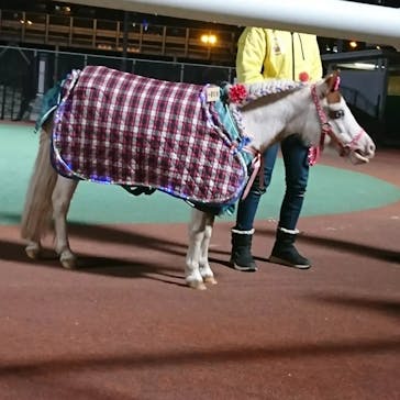 東京メガイルミに投稿された画像（2022/2/27）